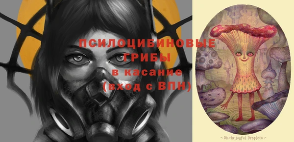 марки lsd Медногорск
